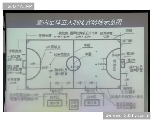 足球比赛中球门尺寸的标准规定及其判罚影响解析